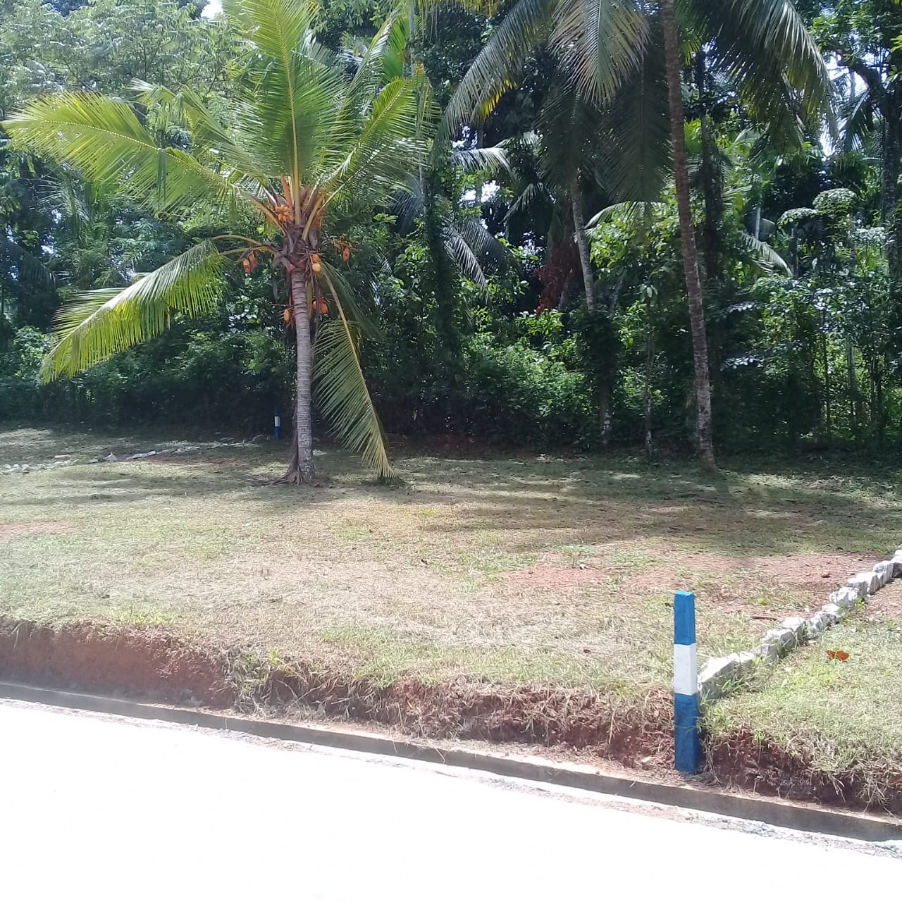 Land For Sale in Pliyandala Gonapola Paradise Property Developers